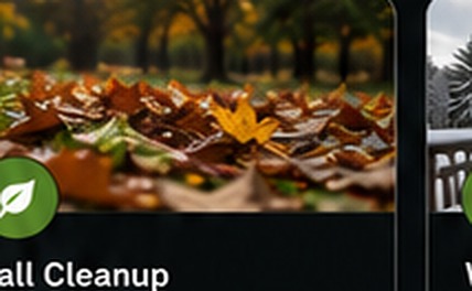 Fall leaves on lawn